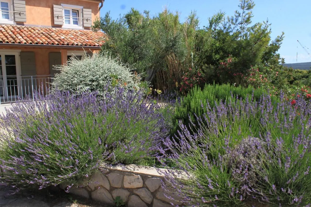 Holiday House With A Parking Space Nerezine, Losinj - 8016 Croatia